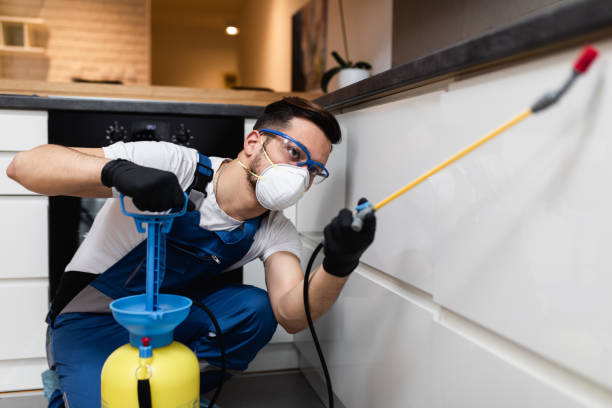 Best Pest Control Near Me  in Keshena, WI