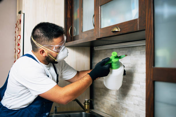 Best Mosquito Control Services  in Keshena, WI