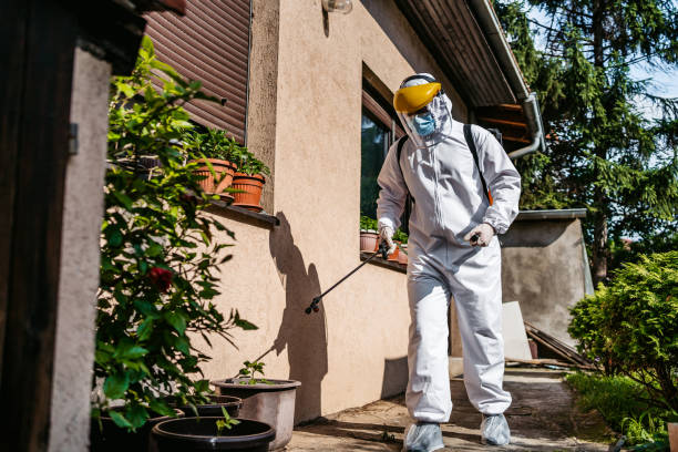 Best Best Pest Control Companies  in Keshena, WI