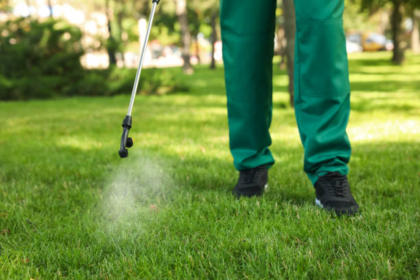 Best Rat Extermination Near Me  in Keshena, WI