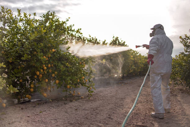 Best Pest Control for Homes  in Keshena, WI