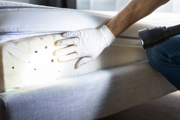 Best Emergency Pest Control  in Keshena, WI