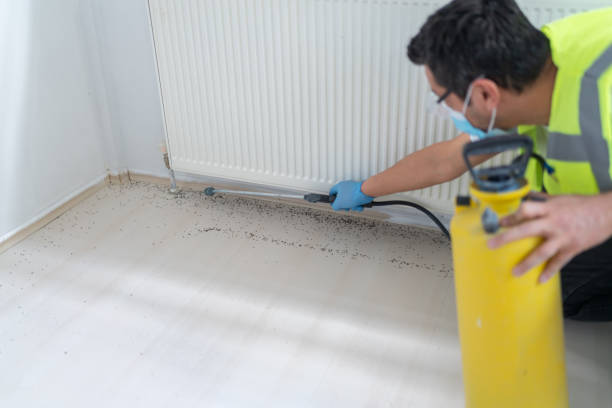 Best Pest Removal Services  in Keshena, WI