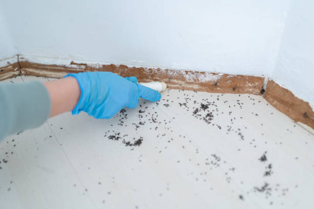 Best Residential Pest Control  in Keshena, WI