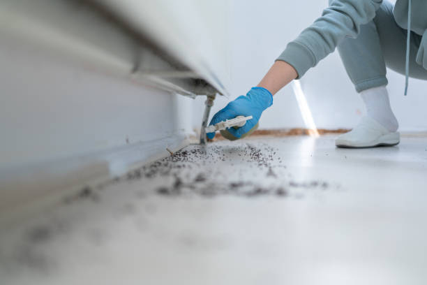 Best Pest Removal Services  in Keshena, WI